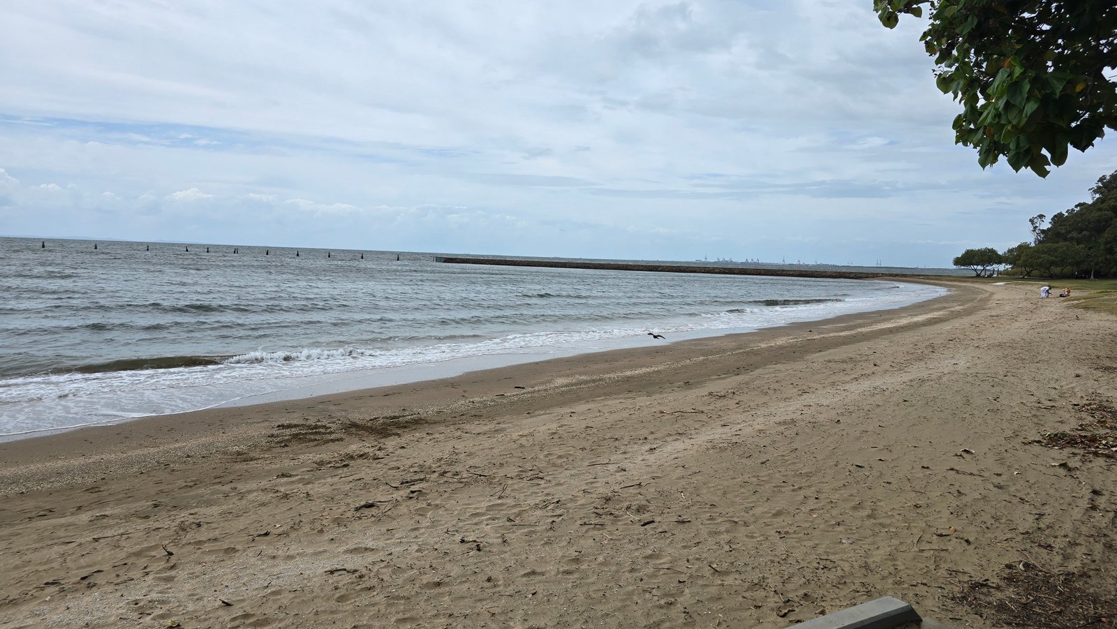 Shorncliffe beach